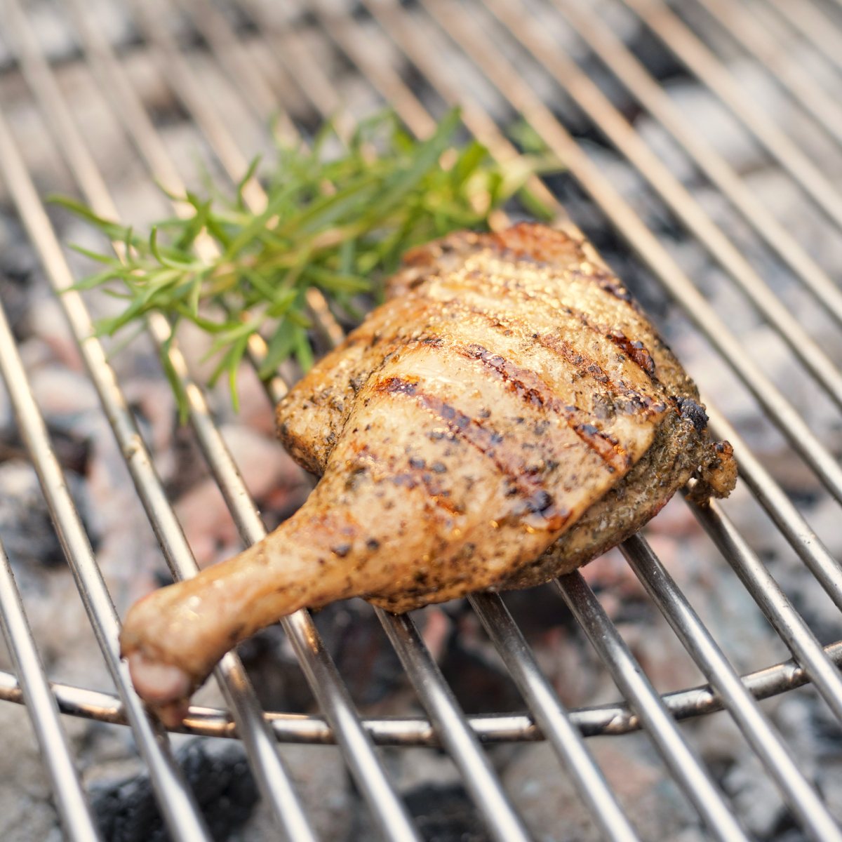 Sous-vide gegarte Grill-Entenkeule der Goosies Wurstwarenmanufaktur, dekoriert auf einem Grill mit Rosmarin