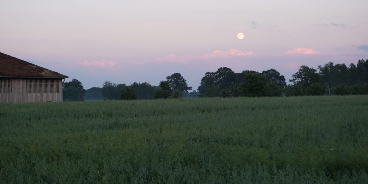 Stimmungsbild mit Sonnenuntergang über den Feldern